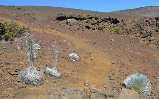 Atacama_FeatureImages